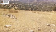 Sivas Kreta, Sivas: Grundstück 17.000 m² in guter Lage Grundstück kaufen